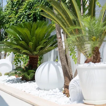 Li Pali & Restaurant 호텔 Torre Pali