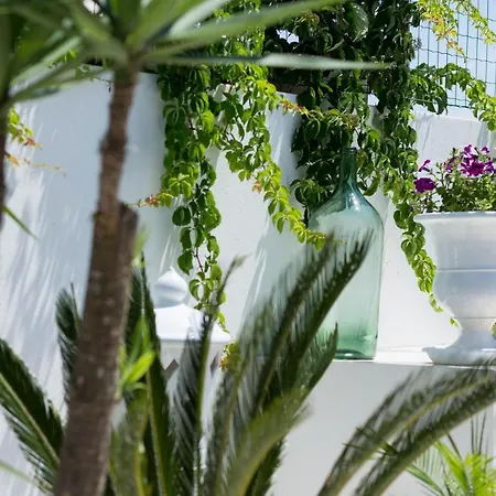 호텔 Li Pali & Restaurant