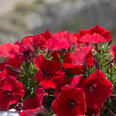 호텔 Li Pali & Restaurant Torre Pali