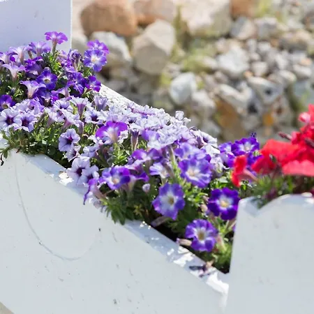 호텔 Li Pali & Restaurant