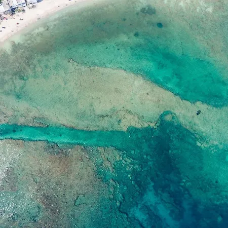 호텔 Li Pali & Restaurant Torre Pali